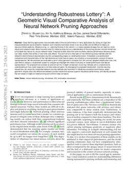"Understanding Robustness Lottery": A Geometric Visual Comparative
  Analysis of Neural Network Pruning Approaches