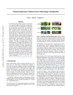 Channel Importance Matters in Few-Shot Image Classification