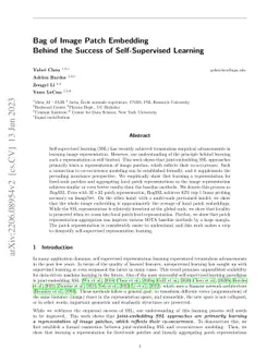 Bag of Image Patch Embedding Behind the Success of Self-Supervised
  Learning