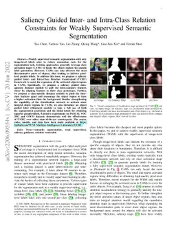 Saliency Guided Inter- and Intra-Class Relation Constraints for Weakly
  Supervised Semantic Segmentation