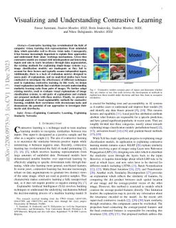 Visualizing and Understanding Contrastive Learning