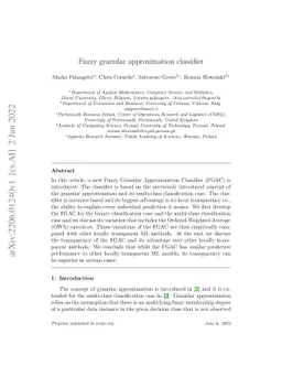 Fuzzy granular approximation classifier