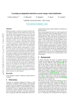 Learning an Adaptation Function to Assess Image Visual Similarities