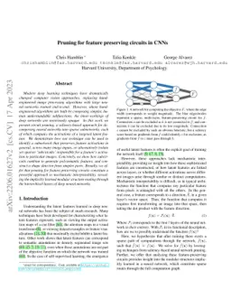 Pruning for Feature-Preserving Circuits in CNNs