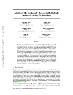 Additive MIL: Intrinsically Interpretable Multiple Instance Learning for
  Pathology