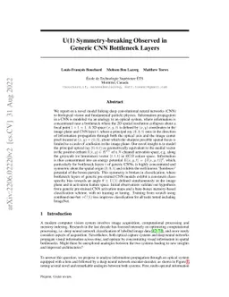 U(1) Symmetry-breaking Observed in Generic CNN Bottleneck Layers