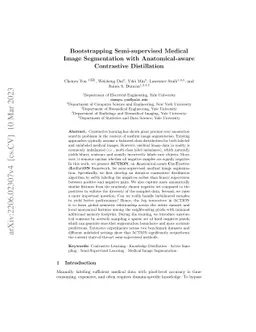Bootstrapping Semi-supervised Medical Image Segmentation with
  Anatomical-aware Contrastive Distillation