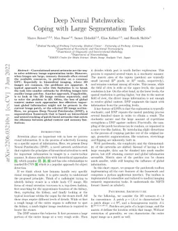 Deep Neural Patchworks: Coping with Large Segmentation Tasks