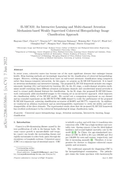 IL-MCAM: An interactive learning and multi-channel attention
  mechanism-based weakly supervised colorectal histopathology image
  classification approach