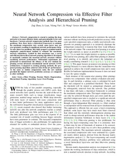 Neural Network Compression via Effective Filter Analysis and
  Hierarchical Pruning