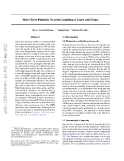Short-Term Plasticity Neurons Learning to Learn and Forget