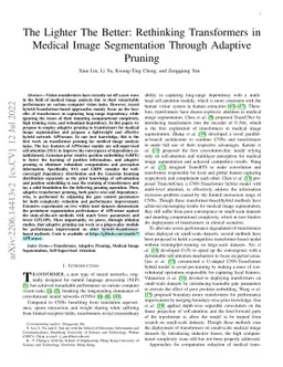 The Lighter The Better: Rethinking Transformers in Medical Image
  Segmentation Through Adaptive Pruning
