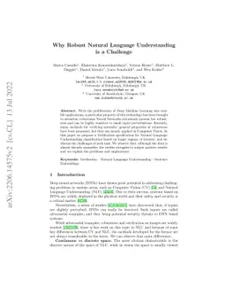 Why Robust Natural Language Understanding is a Challenge