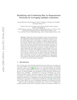 Identifying and Combating Bias in Segmentation Networks by leveraging
  multiple resolutions