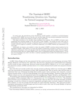 The Topological BERT: Transforming Attention into Topology for Natural
  Language Processing