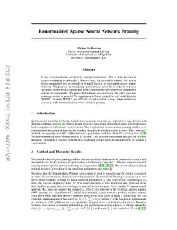 Renormalized Sparse Neural Network Pruning