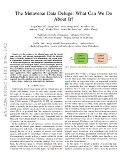 The Metaverse Data Deluge: What Can We Do About It?