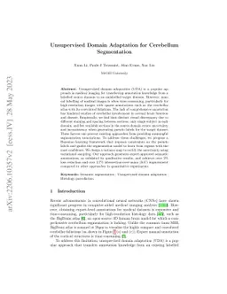 Confidence-Guided Unsupervised Domain Adaptation for Cerebellum
  Segmentation