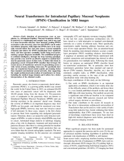 Neural Transformers for Intraductal Papillary Mucosal Neoplasms (IPMN)
  Classification in MRI images