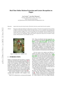 Real-Time Online Skeleton Extraction and Gesture Recognition on Pepper