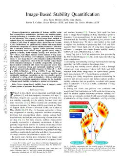 Image-based Stability Quantification