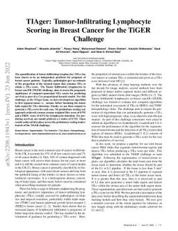 TIAger: Tumor-Infiltrating Lymphocyte Scoring in Breast Cancer for the
  TiGER Challenge