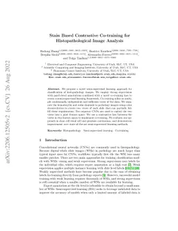 Stain Based Contrastive Co-training for Histopathological Image Analysis