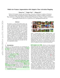 Multi-view Feature Augmentation with Adaptive Class Activation Mapping