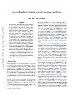Deep reinforced active learning for multi-class image classification