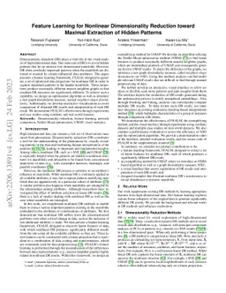 Feature Learning for Nonlinear Dimensionality Reduction toward Maximal
  Extraction of Hidden Patterns