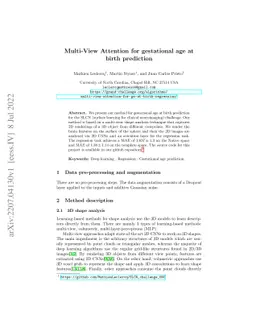 Multi-view Attention for gestational age at birth prediction