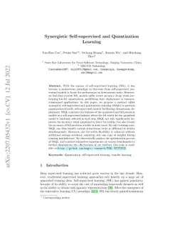 Synergistic Self-supervised and Quantization Learning