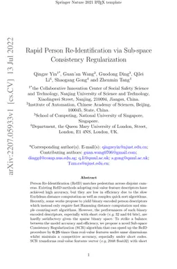 Rapid Person Re-Identification via Sub-space Consistency Regularization
