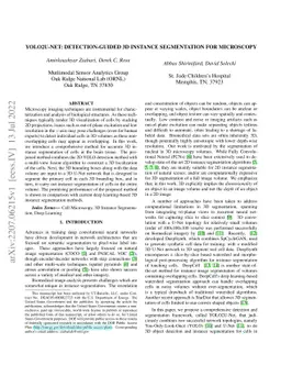 YOLO2U-Net: Detection-Guided 3D Instance Segmentation for Microscopy
