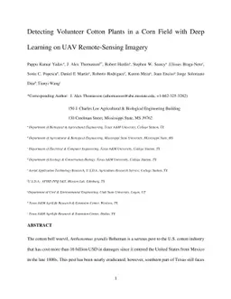 Detecting Volunteer Cotton Plants in a Corn Field with Deep Learning on
  UAV Remote-Sensing Imagery