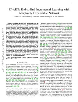 E2-AEN: End-to-End Incremental Learning with Adaptively Expandable
  Network