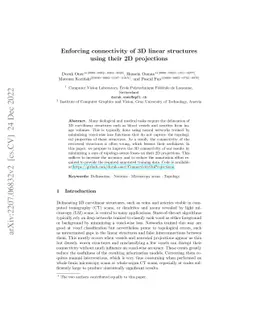 Enforcing connectivity of 3D linear structures using their 2D
  projections