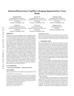 Immunofluorescence Capillary Imaging Segmentation: Cases Study