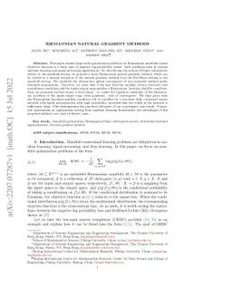 Riemannian Natural Gradient Methods