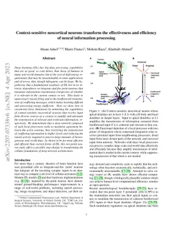 Context-sensitive neocortical neurons transform the effectiveness and
  efficiency of neural information processing