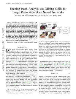 Training Patch Analysis and Mining Skills for Image Restoration Deep
  Neural Networks