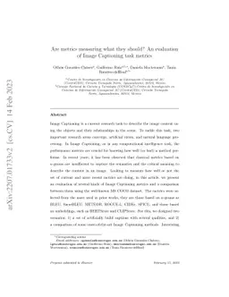 Are metrics measuring what they should? An evaluation of image
  captioning task metrics