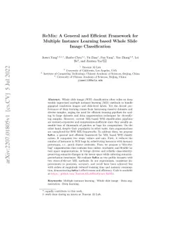 ReMix: A General and Efficient Framework for Multiple Instance Learning
  based Whole Slide Image Classification