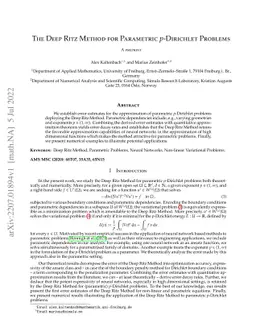 The Deep Ritz Method for Parametric $p$-Dirichlet Problems