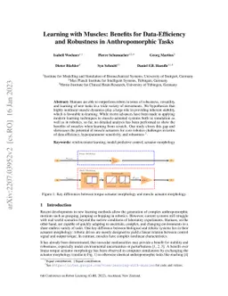 Learning with Muscles: Benefits for Data-Efficiency and Robustness in
  Anthropomorphic Tasks