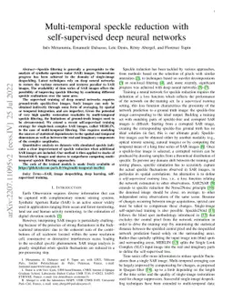 Multi-temporal speckle reduction with self-supervised deep neural
  networks