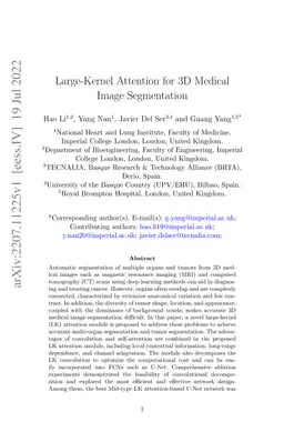 Large-Kernel Attention for 3D Medical Image Segmentation