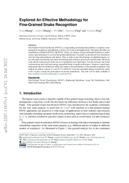 Explored An Effective Methodology for Fine-Grained Snake Recognition