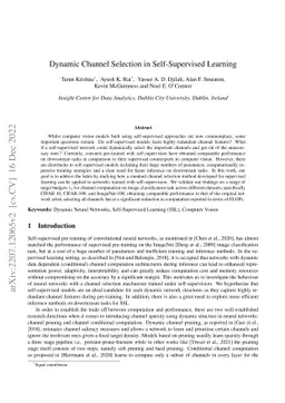 Dynamic Channel Selection in Self-Supervised Learning