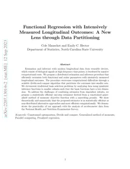 Functional Regression with Intensively Measured Longitudinal Outcomes: A
  New Lens through Data Partitioning